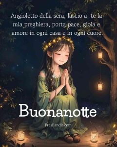 Angioletto della sera, lascio a te la mia preghiera, porta pace, gioia e amore in ogni casa e in ogni cuore. Buonanotte.