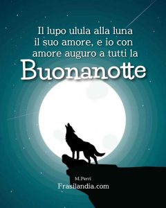 Il lupo ulula alla luna il suo amore, e io con amore auguro a tutti la buonanotte.