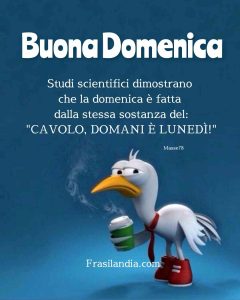 Studi scientifici dimostrano che la domenica è fatta dalla stessa sostanza del: "CAVOLO, DOMANI È LUNEDÌ". Buona domenica.