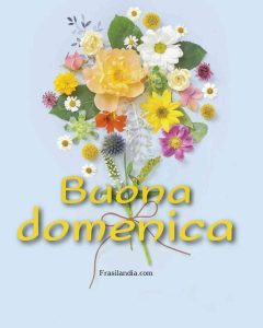 Buona domenica.