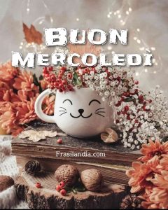 Buon mercoledì.