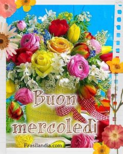 Buon mercoledì.