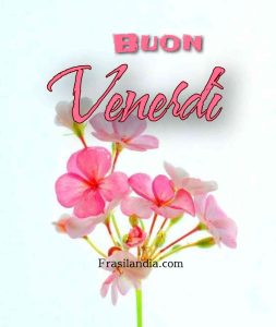 Buon venerdì.