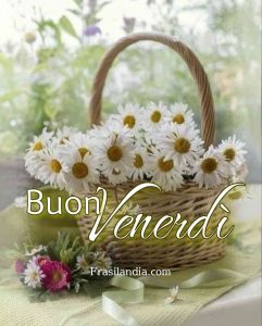 Buon venerdì.