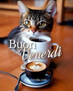 Buon venerdì.