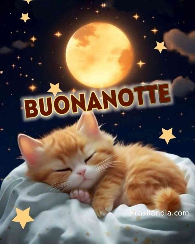 Buonanotte.