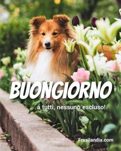 Buongiorno a tutti, nessuno escluso!