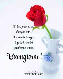 E dove passi lascia il meglio di te. Il mondo ha bisogno di gente che semini gentilezza e amore. Buongiorno!