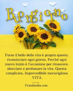 Forse il bello della vita è proprio questo, ricominciare ogni giorno. Perché ogni nuovo inizio è l'occasione per rinascere, sbocciare e profumare la vita. Questa complicata, Imprevedibile meravigliosa vita. Buongiorno.