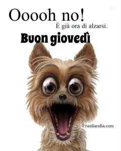 Ooooh no! È già ora di alzarsi. Buon giovedì.