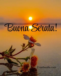 Buona serata!