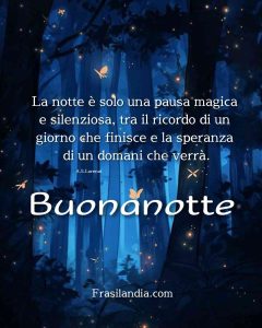 La notte è solo una pausa magica e silenziosa, tra il ricordo di un giorno che finisce e la speranza di un domani che verrà. Buonanotte.