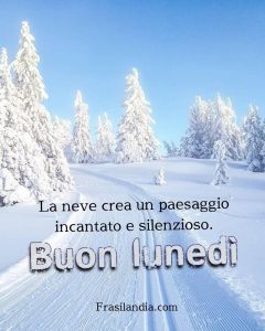 La neve crea un paesaggio incantato e silenzioso. Buon lunedì.