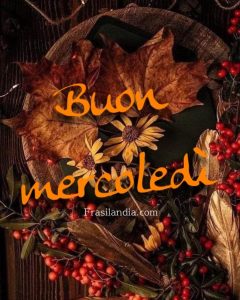 Buon mercoledì.