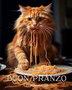 Spaghetto m'hai provocato... Buon pranzo.