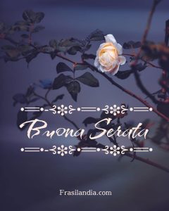 Buona serata