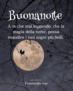 Buonanotte a te che stai leggendo, che la magia della notte possa esaudire i tuoi sogni.