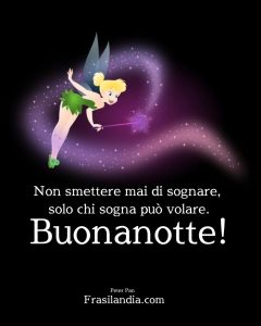 Non smettere mai di sognare, solo chi sogna può volare. Buonanotte.