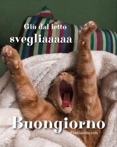 Giù dal letto, scegliaaaaa... Buongiorno.