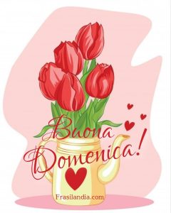 Buona domenica!