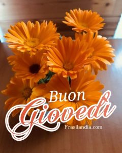 Buon giovedì.