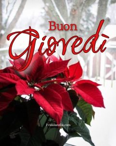 Buon giovedì.