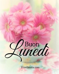 Buon lunedì.