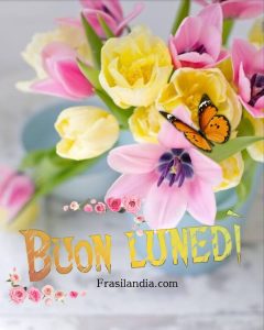 Buon lunedì.