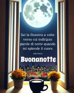 Sei la finestra a volte verso cui indirizzo parole di notte quando mi splende il cuore. Buonanotte!