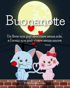 Un fiore non può sbocciare senza sole, e l'uomo non può vivere senza amore. Buonanotte.