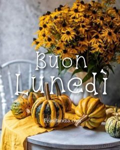 Buon lunedì.