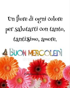 Un fiore di ogni colore per salutarti con tanto, tantissimo amore. Buon mercoledì.