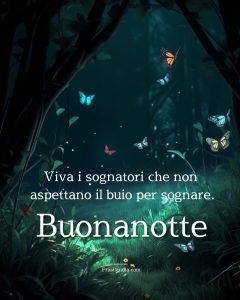 Viva i sognatori che non aspettano il buio per sognare. Buonanotte.