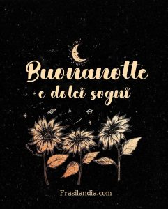 Buonanotte e dolci sogni.