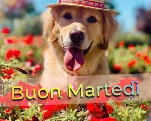 Buon martedì