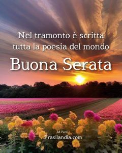 Nel tramonto è scritta tutta la poesia del mondo Buona serata.