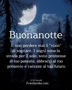 E non perdere mai il "vizio" di sognare. I sogni sono la strada per il sole, sono promesse al tuo passato, abbracci al tuo presente e carezze al tuo futuro. Buonanotte