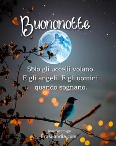 Solo gli uccelli volano. E gli angeli. E gli uomini quando sognano. Buonanotte