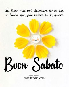 Un fiore non può sbocciare senza sole e l'uomo non può vivere senza amore. Buon sabato.