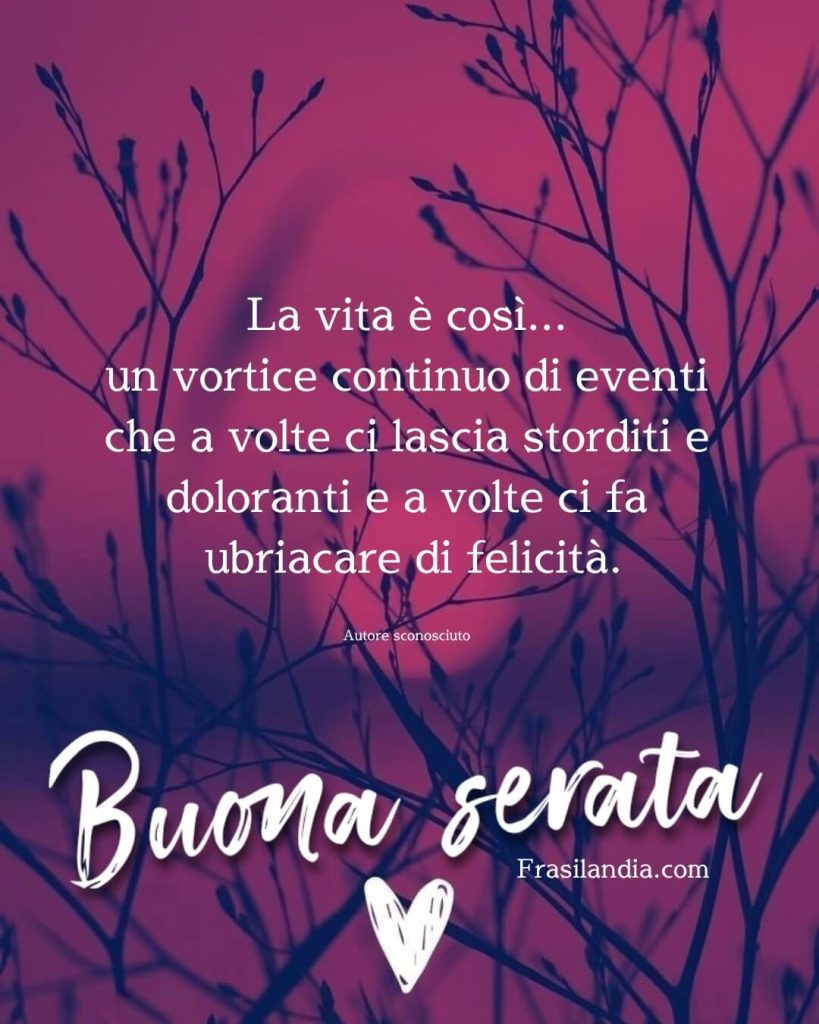 La vita è così... un vortice continuo di eventi che a volte ci lascia storditi e doloranti e a volte ci fa ubriacare di felicità. Buona serata