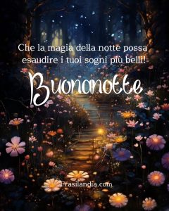 Che la magia della notte possa esaudire i tuoi sogni più belli! Buonanotte