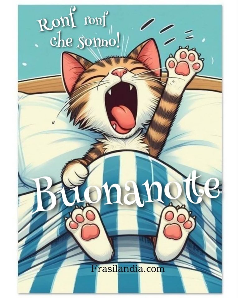 Ronf ronf… che sonno! Buonanotte – Frasilandia