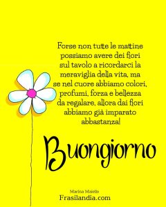 Forse non tutte le mattine possiamo avere dei fiori sul tavolo a ricordarci la meraviglia della vita, ma se nel cuore abbiamo colori, profumi, forza e bellezza da regalare, allora dai fiori abbiamo già imparato abbastanza! Buongiorno