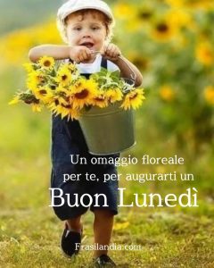 Un omaggio floreale per te, per augurarti un buon lunedì