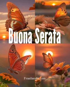 Buona serata