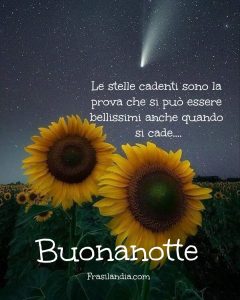 Le stelle cadenti sono la prova che si può essere bellissimi anche quando si cade.... Buonanotte