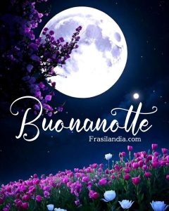 Buonanotte