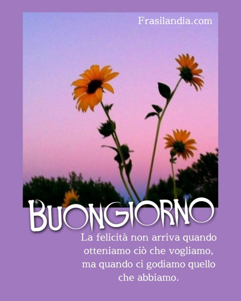 La felicità non arriva quando otteniamo ciò che vogliamo, ma quando ci godiamo quello che abbiamo. Buongiorno