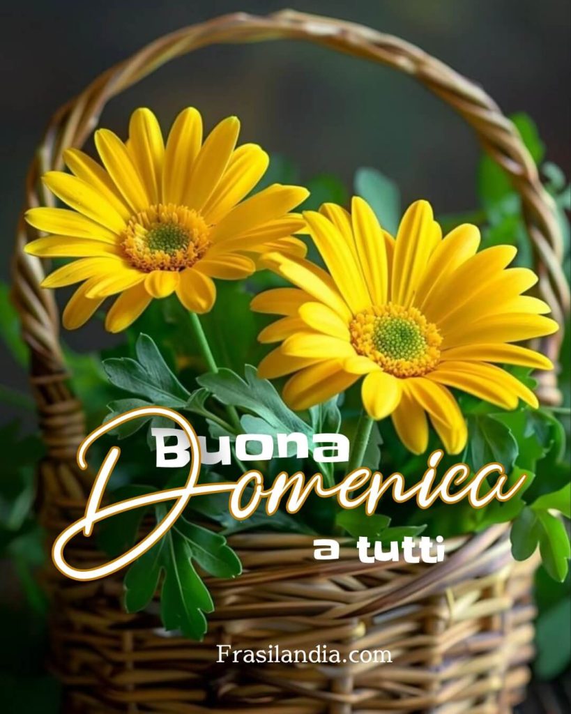 Buona domenica a tutti.