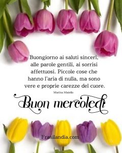 Buongiorno ai saluti sinceri, alle parole gentili, ai sorrisi affettuosi. Piccole cose che hanno l'aria di nulla, ma sono vere e proprie carezze del cuore. Buon mercoledì